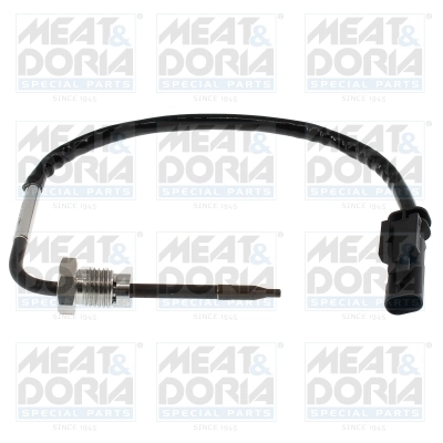 Sensor, exhaust gas temperature